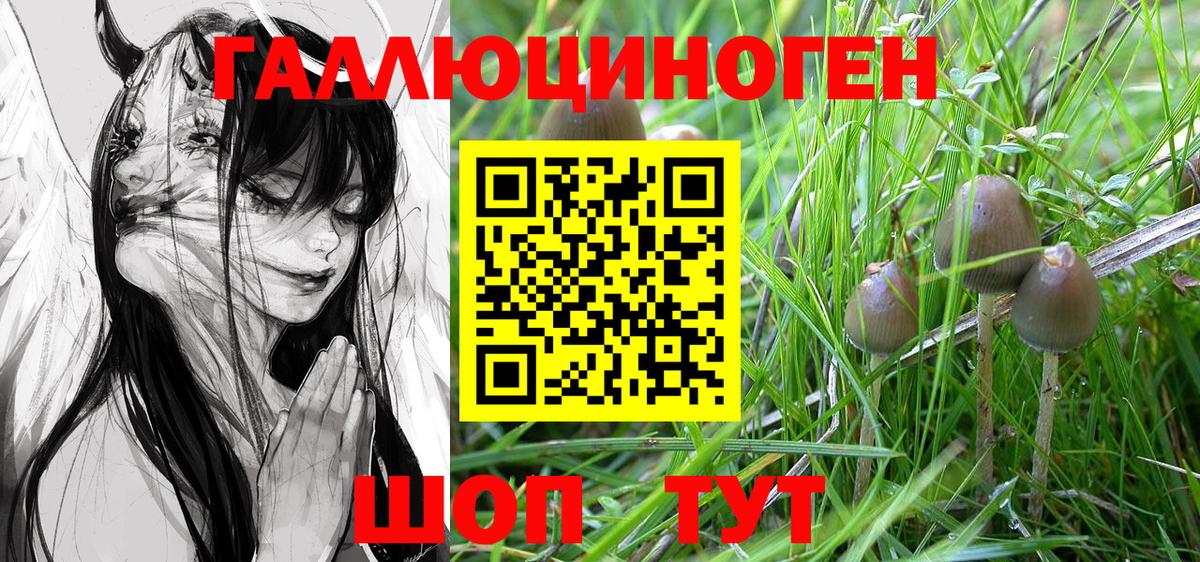 Нижний Тагил  Псилоцибиновые грибы Psilocybine cubensis  Вход с VPN 